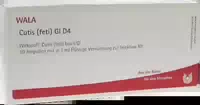 Cutis Feti Gl D6 Ampullen 10x1 ml Ampullen