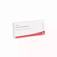 Wala Dura Mater Encephali Gl D30 10 X 1 ml Ampullen