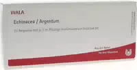 Wala Echinacea Argentum 10x1 ml Ampullen