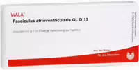 Fasciculus Atrioventricularis Gl D 15 Ampullen 10x1 ml Ampullen