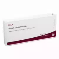 Ferrum Silicicum Comp Ampullen 10x1 Ml Ampullen
