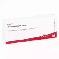 Ferrum Silicicum Comp Ampullen 10x1 Ml Ampullen