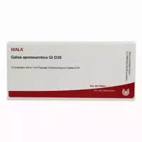 Galea Aponeurotica Gl D30 Ampullen