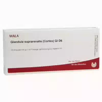 Glandula Suprarenalis Cortex Gl D6 10x1 Ml Ampullen