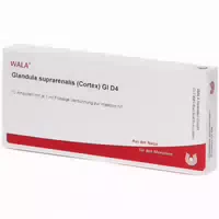 Glandula Suprarenalis Cortex Gl D4 Ampullen 10x1 ml Ampullen