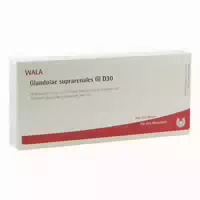 Glandulae Suprarenales Gl D 30 Ampullen 10x1 ml