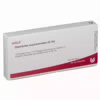 Glandulae Suprarenales Gl D4 Ampullen 10x1 ml Ampullen