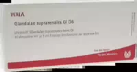 Glandulae Suprarenales Gl D6 10x1 ml Ampullen