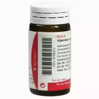 Wala Hirudo Comp Globuli 20 G Globuli