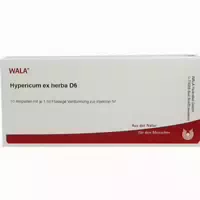 Hypericum Ex Herba D6 Ampullen