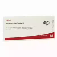Iscucin Mali St B Ampullen