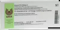 Iscucin Pini Stärke A Ampullen 10x1 Ml Ampullen