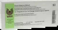 Iscucin Quercus Stärke E Ampullen 10x1 ml Ampullen