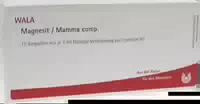 Magnesit Mamma Comp Ampullen 10x1 ml Ampullen