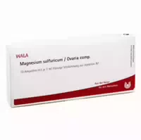 Magnesium Sulfuricum Ovaria Comp Ampulle 10x1 Ml Ampullen