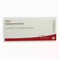 Mandibula Feti Gl D30 Ampullen