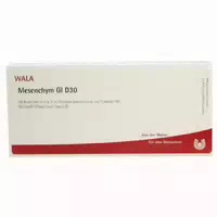Mesenchym Gl D 30 Ampullen 10x1 Ml