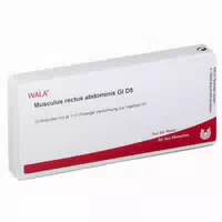 Musculus Rectus Abdominis Gl D 5 Ampulle 10x1 ml
