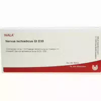 Nervus Ischiadicus Gl D 30 Ampullen 10x1 Ml