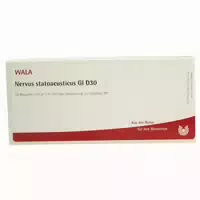 Nervus Statoacusticus Gl D30 Ampullen 10x1 Ml Ampullen