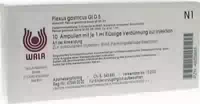 Epiphysis Gl D5 Ampullen 10x1 ml Ampullen