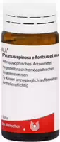 Prunus Spinosa E Floribus Et Summitatibus D 2 Globuli 20 g