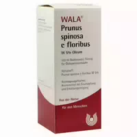 Prunus Spinosa E Floribus W5% Öl 100 Ml Öl