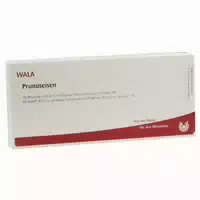 Prunuseisen Ampullen 10x1 Ml Ampullen