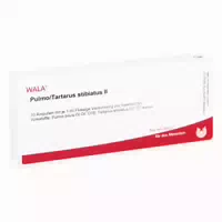 Vesica Fellea Ferrum Ii Ampullen 10x1 ml Ampullen