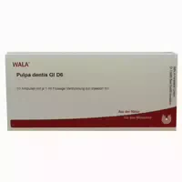 Pulpa Dentis Gl D 6 Ampullen 10x1 ml