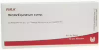 Iscucin Populi Potenzreihe Ii Ampullen 10x1 ml Ampullen
