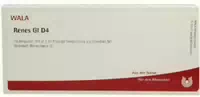 Wala Renes Gl D4 Ampullen 10x1 ml Ampullen