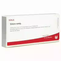Silicea Comp Ampullen 10x1 Ml Ampullen