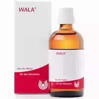Wala Equisetum Ex Herba W 5% Oleum 100 ml Badezusatz