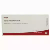 Vesica Fellea Ferrum Ii Ampullen 10x1 Ml