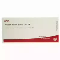 Viscum Mali E Planta Tota D 6 Ampullen 10x1 Ml Ampullen