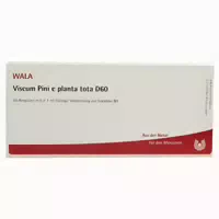 Viscum Pini E Planta Tota D 60 Ampullen 10x1 ml