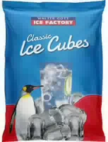 Walter Gott Ice Factory Classic Ice Cubes