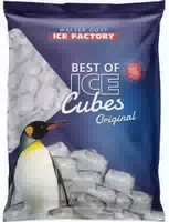 Walter Gott Ice Factory Crushed Ice