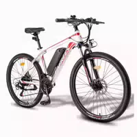 Fafrees 26 Hailong One 250w Pedelec mit 36v 13,5ah Akku 1 st