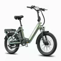 Fafrees F20 Flex Faltbares E Bike, 36v 20ah 1 st