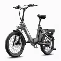 Fafrees F20 Flex Leichtes E Bike für Pendler – 25 Ah Akku 1 st