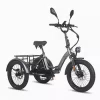 Fafrees F20 Mate E Bike Dreirad mit 48v 21ah Akku 1 st