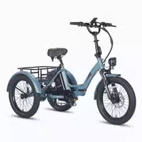 Fafrees F20 Mate Elektro Dreirad, 48 V 20 Ah Akku 1 st