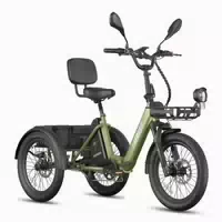 Fafrees F20 Mate Ii Elektro Lastendreirad mit 48v 25ah Akku 1 st