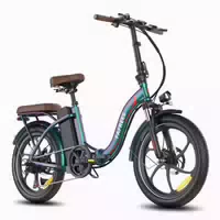 Fafrees F20 Pro E Bike für Erwachsene, 25 Ah 1 st