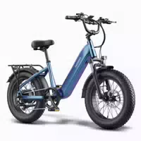 Fafrees F20 Rover Pedelec Fatbike, 48v 15ah Akku 1 st