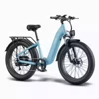 Fafrees F26 Rover 26×4 0 All Terrain E Bike mit 960 Wh Akku 1 st