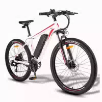 Fafrees F28 Mt Elektrofahrrad, 36v 15ah Akku 1 st