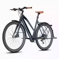 Fafrees F700w Elektrofahrrad, 250 W Motor, 36 V 10 Ah Akku 1 st